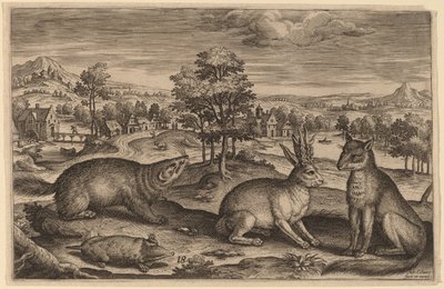 Une taupe, un blaireau, un lièvre cornu et un renard - Adriaen Collaert