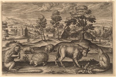 Un singe, un porc-épic, deux hérissons, un buffle et un renard - Adriaen Collaert