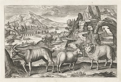 Bouc et moutons - Adriaen Collaert