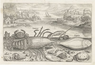 Un poisson et quelques crustacés sur la plage - Adriaen Collaert