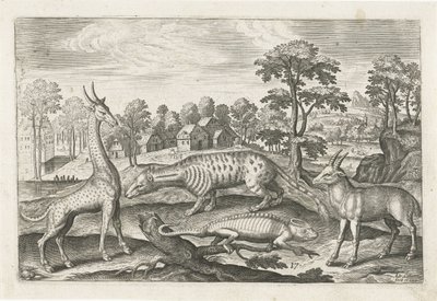 Animaux exotiques. Animalivm Qvaddrvpedvm - Adriaen Collaert