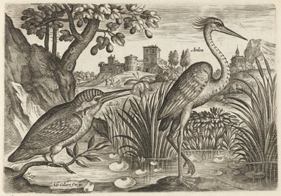  - Adriaen Collaert