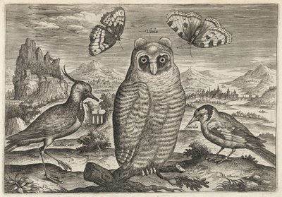  - Adriaen Collaert