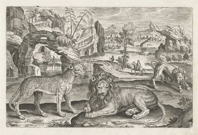 Lions et léopard - Adriaen Collaert