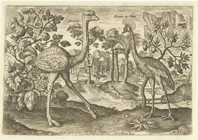 Deux oiseaux coureurs dans un paysage - Adriaen Collaert