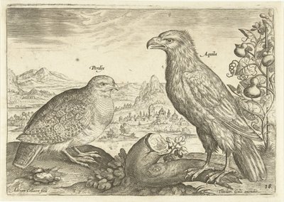 Deux oiseaux dans un paysage - Adriaen Collaert