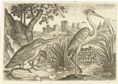 Deux oiseaux dans un paysage - Adriaen Collaert