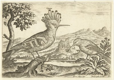 Deux oiseaux dans un paysage - Adriaen Collaert