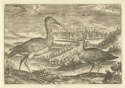 Deux oiseaux dans un paysage - Adriaen Collaert