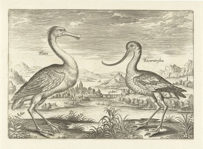 Twee waadvogels in een rivierlandschap - Adriaen Collaert