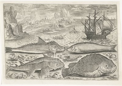 Quatre poissons sur la plage - Adriaen Collaert