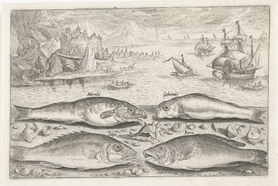 Quatre poissons sur la plage - Adriaen Collaert