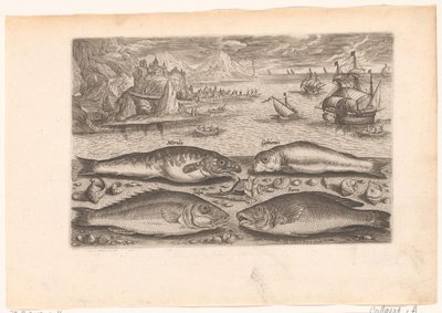 Vier vissen op het strand - Adriaen Collaert