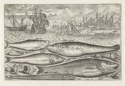 Cinq poissons sur la plage (Piscivm vivae icones) - Adriaen Collaert