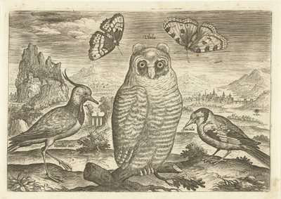 Oiseaux et papillons dans un paysage (Avivm vivae) - Adriaen Collaert