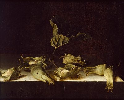 Nature morte avec noisettes, 1696 - Adrian Coorte