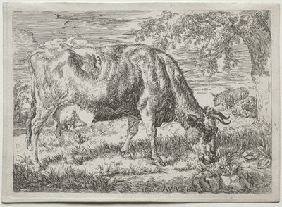 Vache et deux moutons au pied d