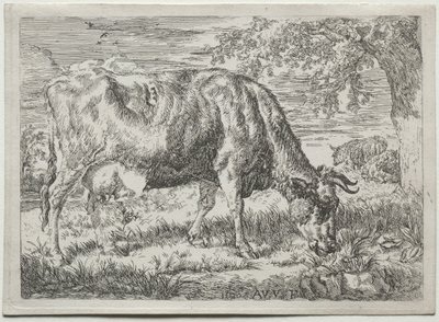 Vache et deux moutons au pied d