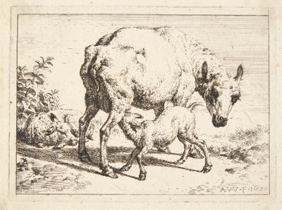 Moutons et deux agneaux - Adriaen van de Velde