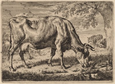 Vache broutant avec deux moutons - Adriaen van de Velde
