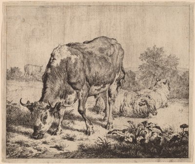 Taureau tacheté et trois moutons - Adriaen van de Velde