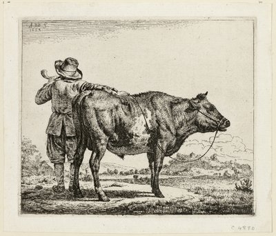 Le Vacher et le Taureau - Adriaen van de Velde