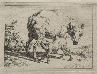 La brebis et deux agneaux - Adriaen van de Velde