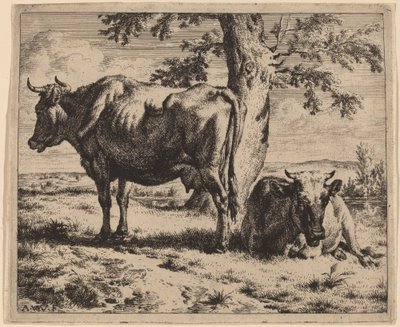 Deux vaches sous un arbre - Adriaen van de Velde
