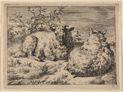 Deux moutons couchés - Adriaen van de Velde