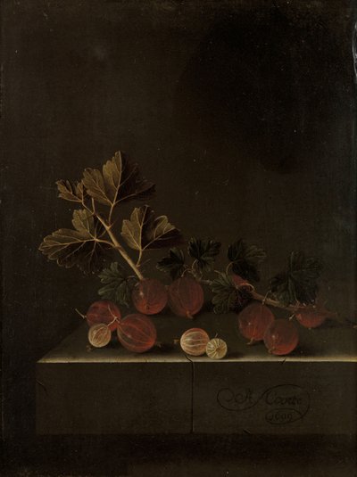 Branche de groseilles sur un socle en pierre, 1699 - Adrian Coorte