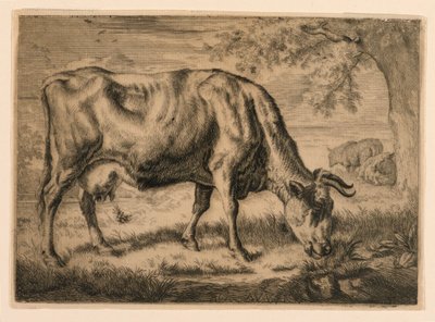 Vache et deux moutons au pied d