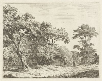 Paysage avec arbres et un homme en route - Adrianus Serné