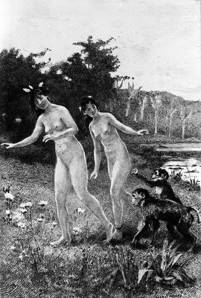 Gravure par Adrien Moreau (1843-1906) illustrant « Candide » de François Marie Arouet dit Voltaire (1694-1778) - Adrien Moreau