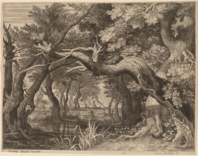 Chasse au cerf près d