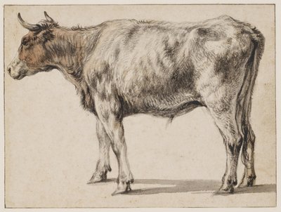  - Aelbert Cuyp