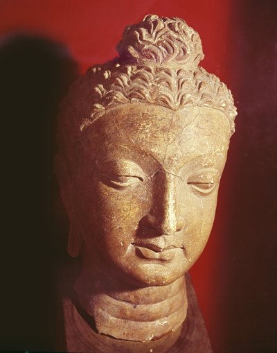 Tête de Bouddha, style gréco-bouddhiste, de Hadda - Afghan School