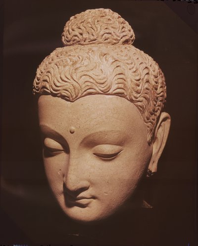 Tête de Bouddha, style gréco-bouddhiste, de Hadda - Afghan School