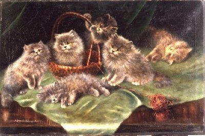 Six Chatons - Agnes Augusta Talboys
