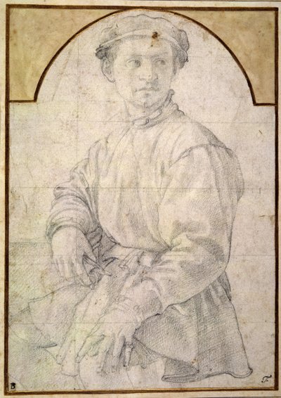 Étude pour un jeune homme avec un luth - Agnolo Bronzino