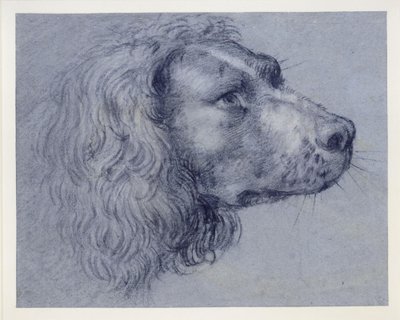  - Agostino Carracci