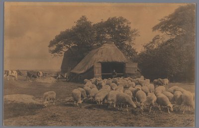 Paysage avec moutons, vaches, fermier et bergerie, Pays-Bas - Alb. Kapteijn