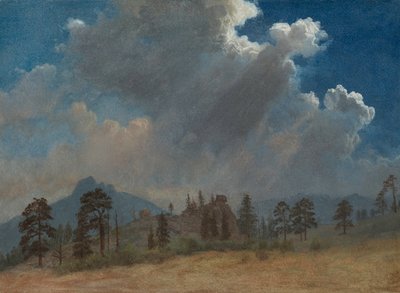 Sapin et nuages d