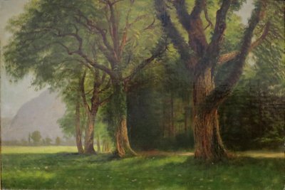Dans la vallée du Yosemite - Albert Bierstadt