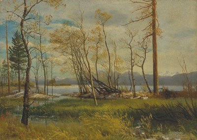 Lac Tahoe - Albert Bierstadt