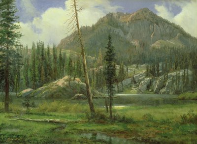 Montagnes de la Sierra Nevada - Albert Bierstadt