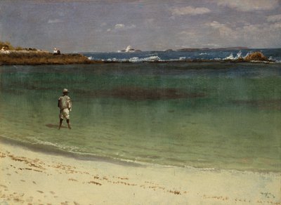 Scène de la côte des Antilles, vers 1880-93 (huile sur papier montée sur panneau de fibres) - Albert Bierstadt