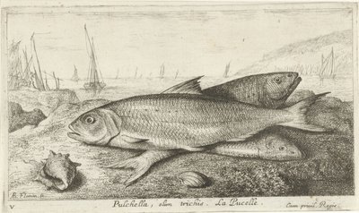 Trois poissons sur la plage - Albert Flamen