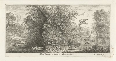 Paysage avec bécassine (Rusticula minor. beccassine., Vogelboek, Livre d