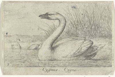 Paysage avec cygne - Albert Flamen
