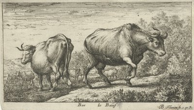 Taureaux - Albert Flamen